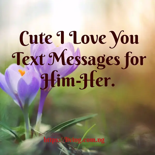i love you text message art